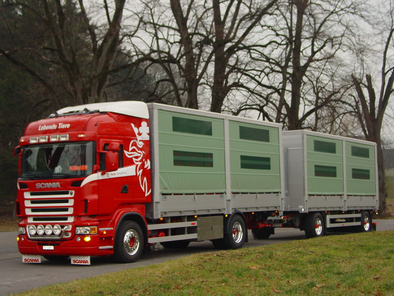 Anhänger- Zug mit Rollladen und Hebebühne für Geflügeltransporte